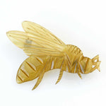 Broche en corne sculptée d'abeille ou de guêpe. Art nouveau français.