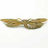 Dragonfly carved horn brooch. Large size. French Art Nouveau.