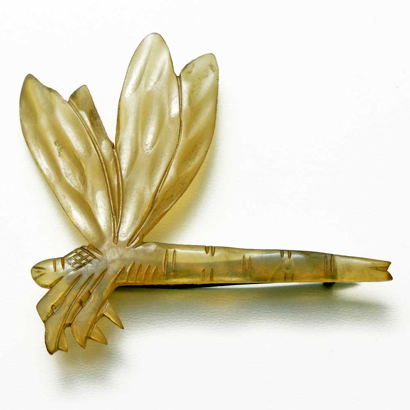 Dragonfly Landing. Carved horn brooch. French Art Nouveau.