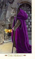 Baroque Bohemian Cats' Tarot standard 2011 deck - Baba Store EU - 4