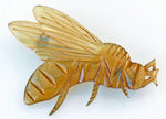 Antique, Bonte, Pierre, carved horn, insect, wasp, bee, art nouveau. brooch, pin, jewelry
