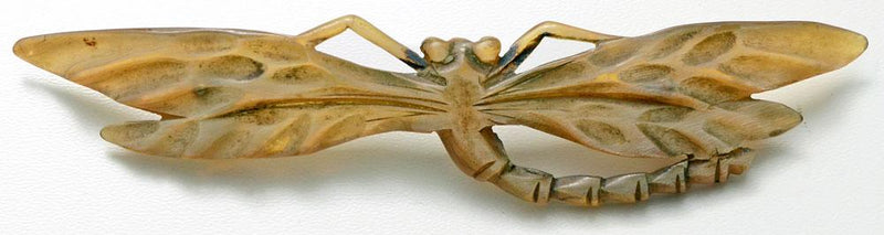 carved horn, insect, dragonfly, brooch, pin georges pierre, elizabeth bonte, art nouveau, antique, 