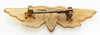 carved horn brooch, moth jewellery, insect jewelry, elizabeth bonte, georges pierre, moth brooch